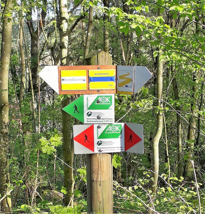 Ferienwohnung Traexler Thanstein Zewnętrze zdjęcie